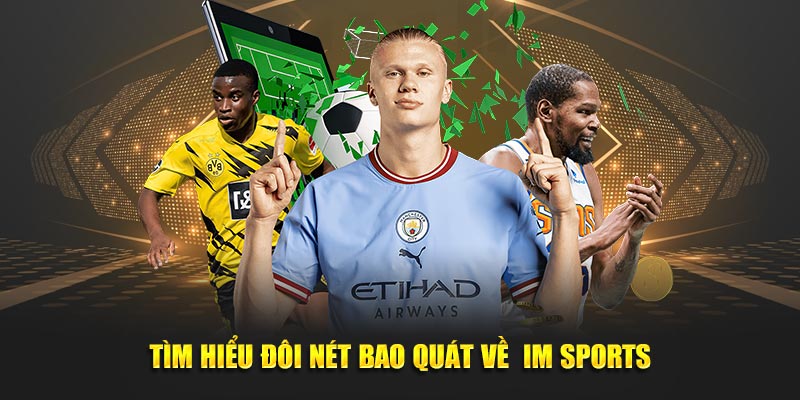 Tìm hiểu bao quát về  IM Sports