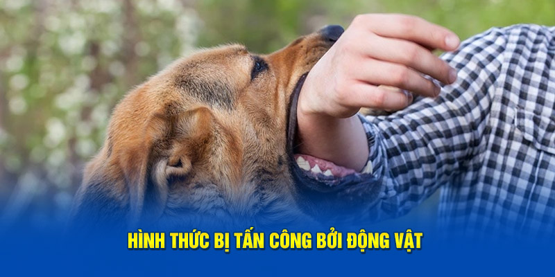 Hình thức bị tấn công bởi động vật